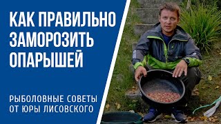 Можно ли заморозить мотыля для рыбалки в морозилке