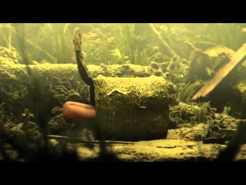 CGI VFX Spot HD   Catfish   by   Psyop Studios
