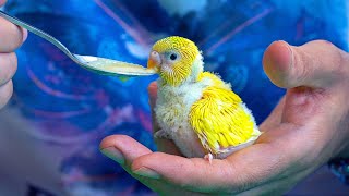 Thumbnail
