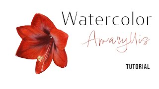 How to paint red Amaryllis flower with watercolors | Watercolor painting tutorial