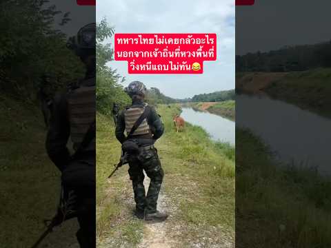 นาทีนี้ใครจะอยู่ก็อยู่แต่ทหารไทยขอวิ่งก่อน#military #shortsvideo #subscribe #shorts #army #ทหารไทย
