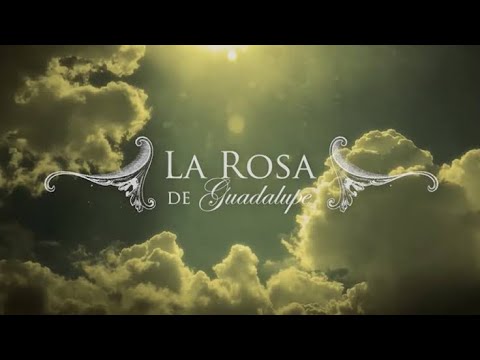7 Soundtracks peligro la rosa de guadalupe