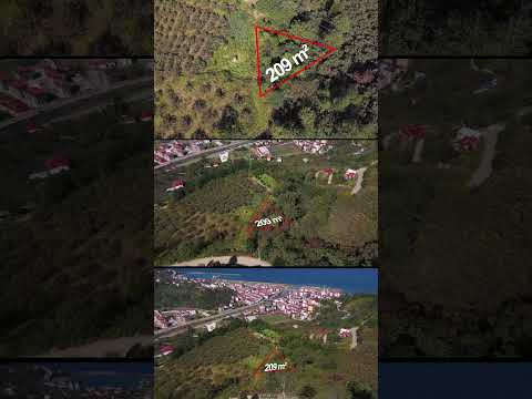 YouTube Shorts Önizleme