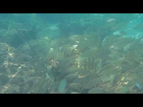 2020 0624 141028 007A