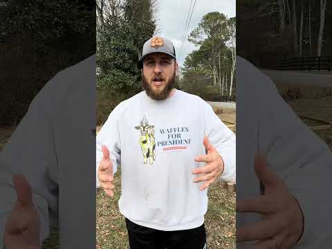 Easy Raised Garden Beds (No Tools Required) #homestead