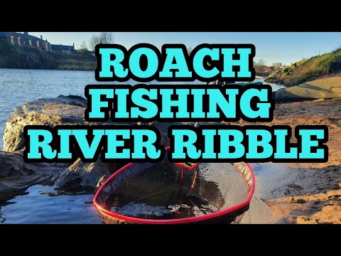 Coarse Fishing the River Ribble - Stick Float Basics - Dannys Angling Blog
