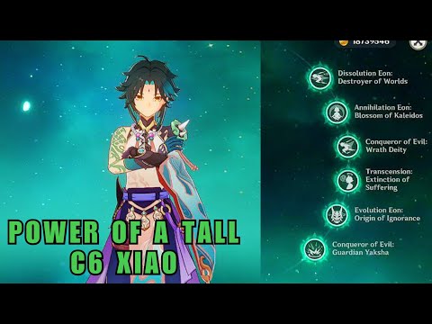 C6 Xiao decimating Abyss 12!