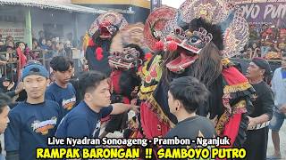 Download lagu Rampak Barongan Jaranan SAMBOYO PUTRO Live Nyadran Sonoageng Prambon Nganjuk mp3
