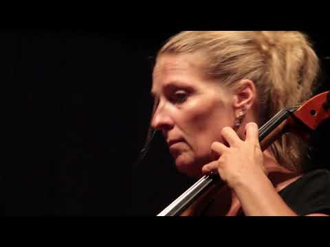 String Trio in B Flat Major D471 Allegro