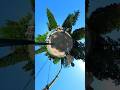 COLUMPIOS TOMAS 360 GRADOS INSTA360 EVERYTHING 360