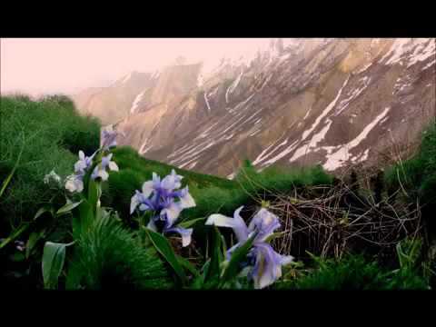 CEMALÊ  MIHÊ  (DENGBEJ)-  Heylê lımın evdalo