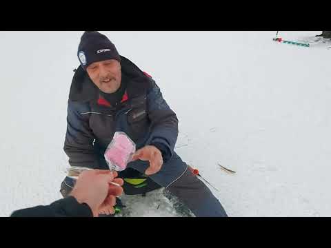 Norssi, kuha ja madepilkillä samana päivänä 🐟🐟 | Papa smurffi on legenda 🤣🤣🤣