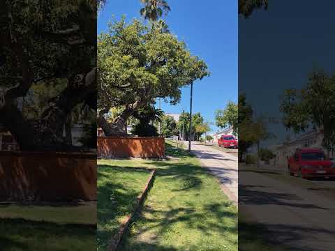 #plaza #paysandu #uruguay