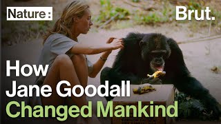 How Jane Goodall Changed the Relationship Between 