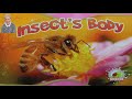 Insect's Body - Dr. Jean and Dr. Holly - Includes free printables
