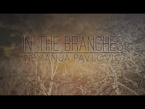 In The Branches - Nemanja Pavlovic (NP Guitar)