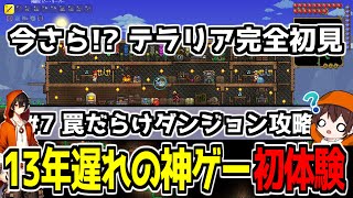 【ガチ初見】スケルトンが守ってた罠だらけダンジョンを攻略するぞ！ #7 【Twitch同時配信】