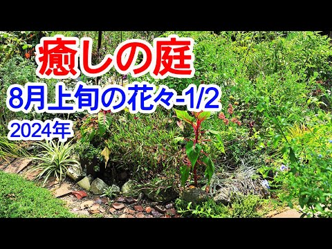 旧暦: 2022 年 8 月の月を使ってガーデニングをするには?  庭園