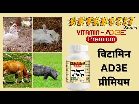 Anfotal nutritiions liquid veterinary vitamin supplement & t...