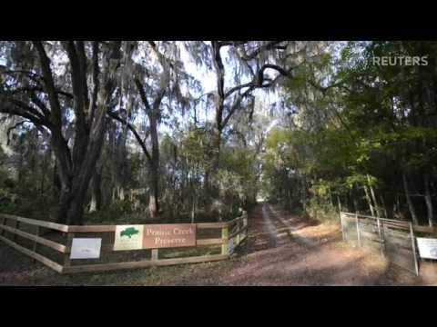 Eco-friendly green burials catching on in the U.S.