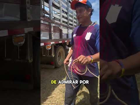 Feria ganadera en Pulí Cundinamarca.