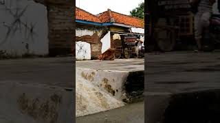 Download lagu Atraksi barongan #comedy #shorts #barongan mp3