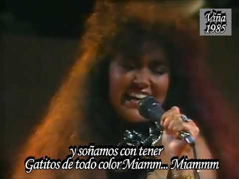 download lagu mp3 mp4 El Gato Y Yo Letra Amanda Miguel, download lagu El Gato Y Yo Letra Amanda Miguel gratis, unduh video klip El Gato Y Yo Letra Amanda Miguel