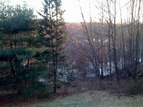 Sudbury River View at 22 Driscoll Drive