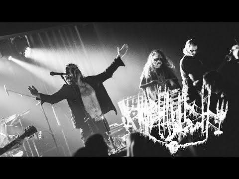 GRONNENHELL and Signal Rex