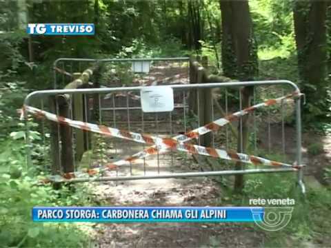 TG TREVISO (28/10/2016) - PARCO STORGA: CARBONERA CHIAMA GLI ALPINI