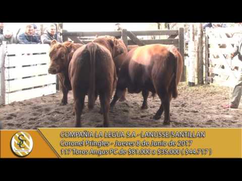 08-06-17 Venta de Toros Angus PC - Compañía La Legua S.A -  Lanusse/Santillan - C. Pringles