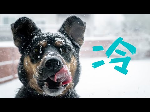 【冬季澳洲】气候宜人？误会！零下低温和破产群众才是真相