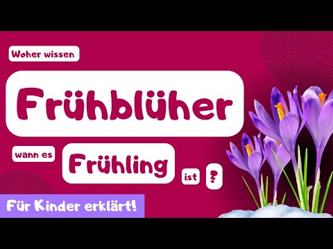 Woher wissen Frühblüher wann Frühling ist? - Einfach erklärt für Grundschul-Kinder.