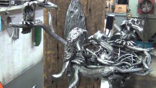 Tom Willoughby's Vulture Family