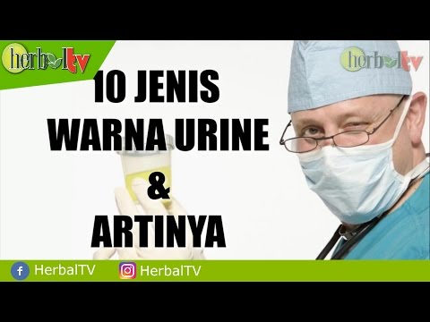 Warna Urine Air Kencing Dan Artinya Mp3 Mp4 3GP Warna Urine Air Kencing Dan Artinya Mp3 Mp4 3GP