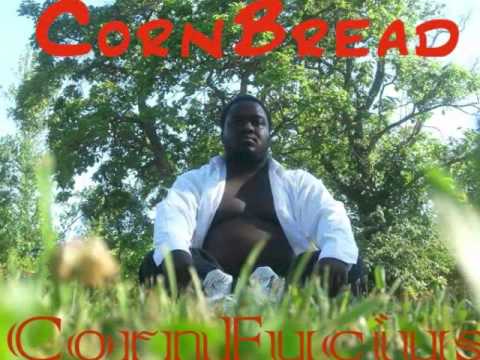 Corn Bread - Cornfucius
