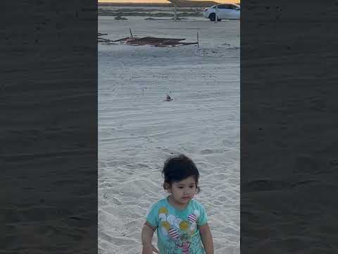 #maroona #beach #azerbaijan #umamah #anabia #doha #qatar #2023
