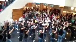 Download lagu 'moves like jagger' flashmob! mp3