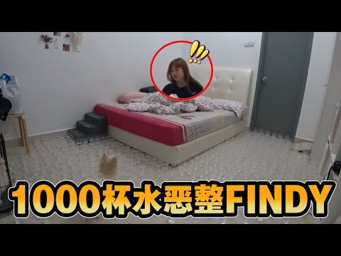 趁FINDY在睡午觉时偷偷在房间放1000杯水！？