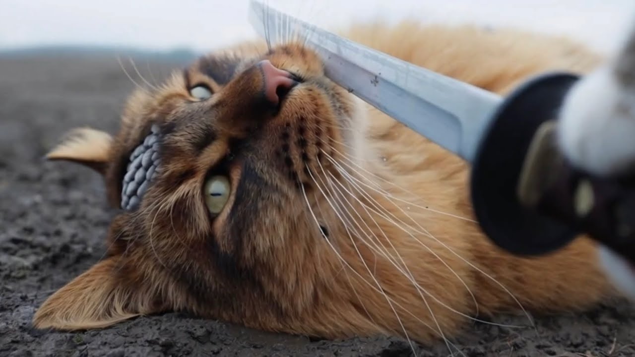 親友と最後の戦い... “When Friendship Faces Its Final Battle Part 3