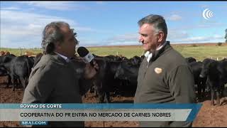 Miniatura do vídeo