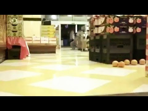 Mega beasts monsters resurrected - episode 6 - giant ripper ( part 2 )