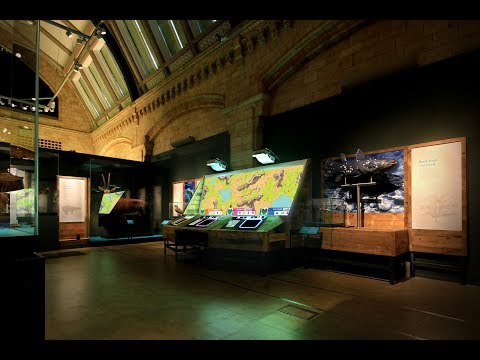 Natural History Museum - Customer Success Story