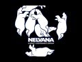 Alphanim Nelvana StudioCanal 2006