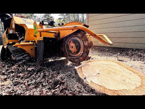I Rented a Stump Grinder Vermeer SC30TX from Home Depot. Is it Worth it?