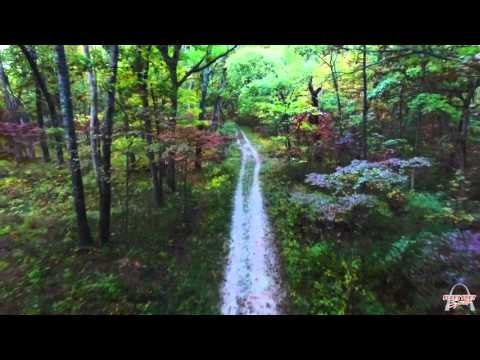 Fleet Feet - Quivering Quads 2016