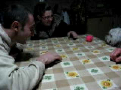 Maltese Kikko  a Grottolella