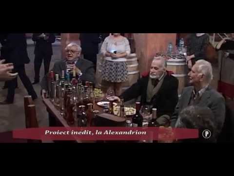 Proiect inedit, la Alexandrion