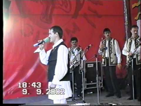 RUGA HERCULANE 2002 LIVE - FLORIN PISTRILA part 1