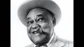 Roosevelt Sykes - Crazy Fox